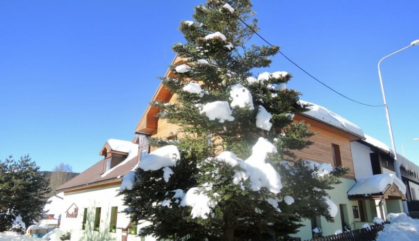 Penzion 103 Železná Ruda